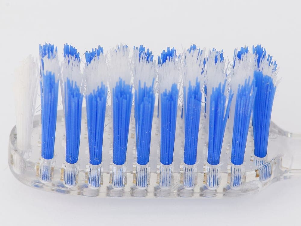 Close-up of a toothbrush head with blue bristles
